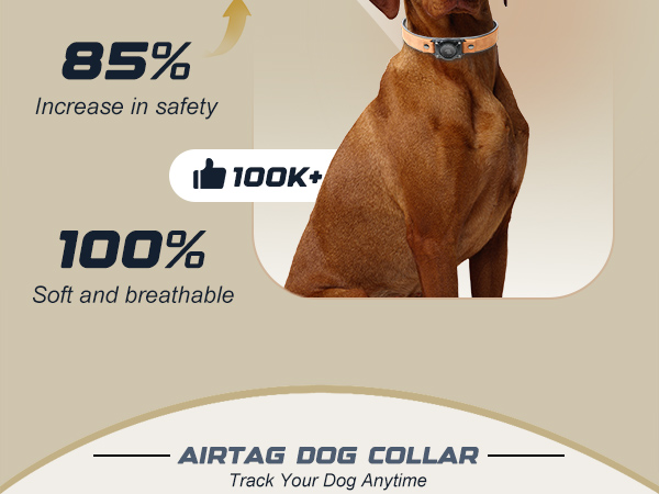 airtag collar dog