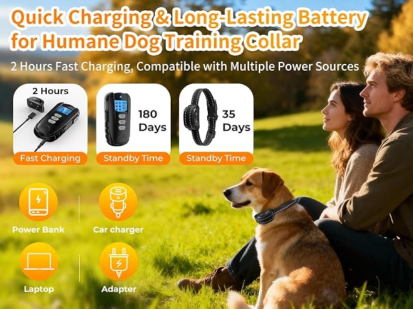 dog training collar with remote 7