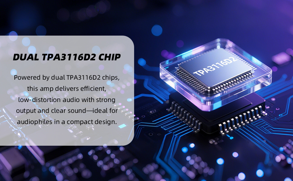 DUAL TPA3116D2 CHIP