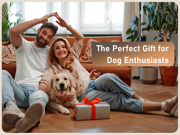 Dog Bark Deterrent Devices