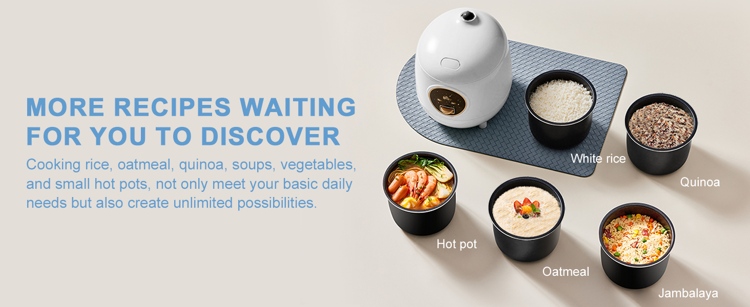 rice cooker