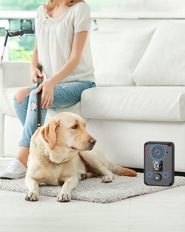 barking dog deterrent