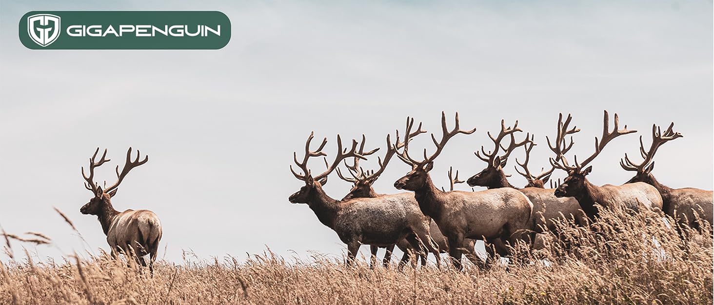 binoculars for hunting