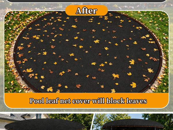 Pool Leaf Net-18ft