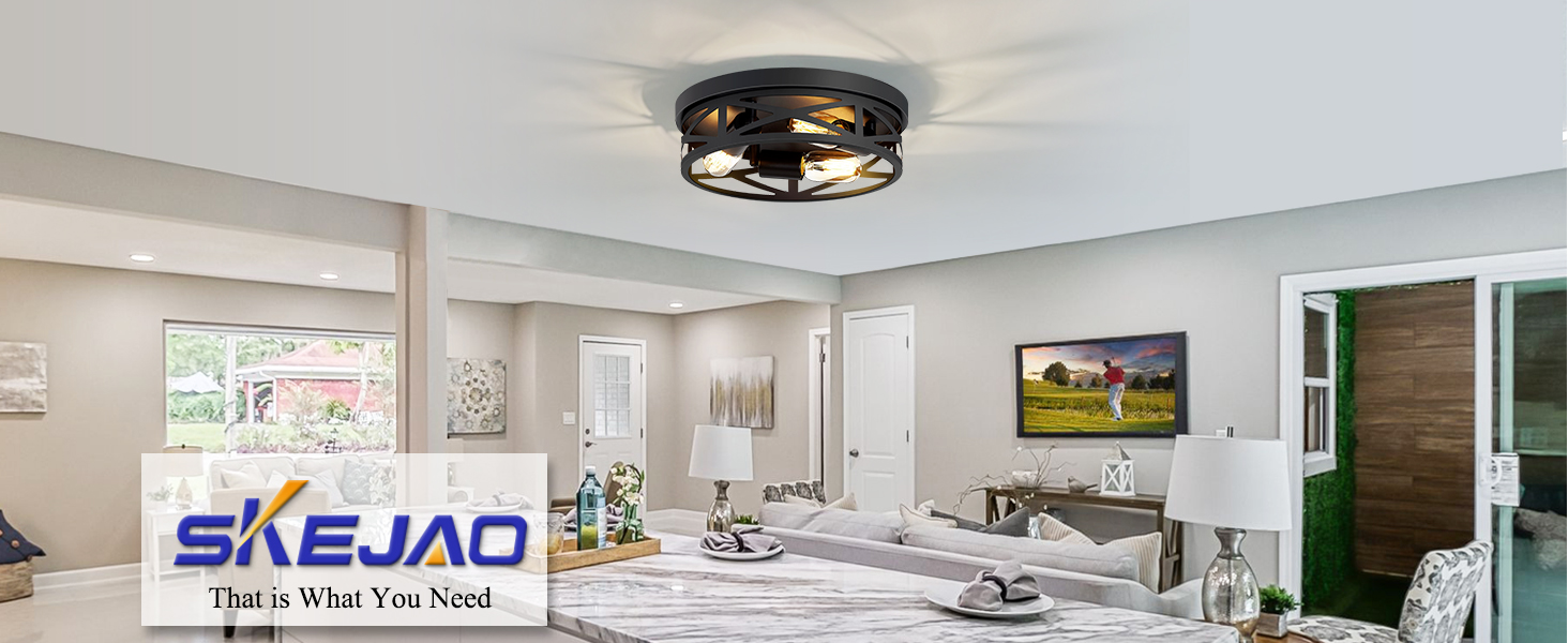 ceiling light fixture