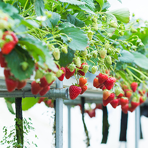 860 aquarium air pump