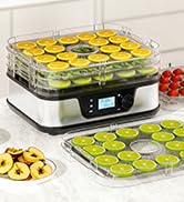 Food Dehydrator, 5 Stainless Steel Trays, 72H Timer &amp; Temp Control up to 167°F, 400W Food Dryer, ...