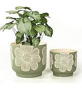 8 inch plant pot green