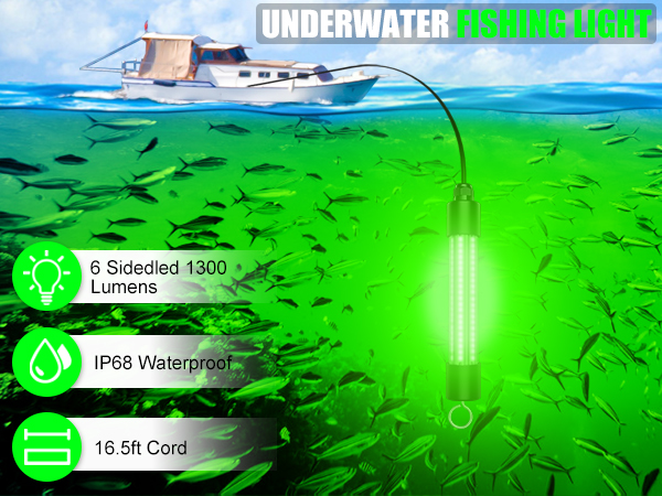 fishing light