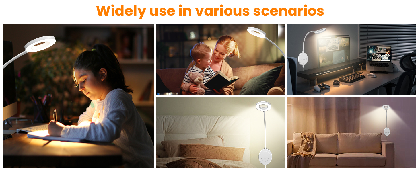 Wall Mounted Reading Light