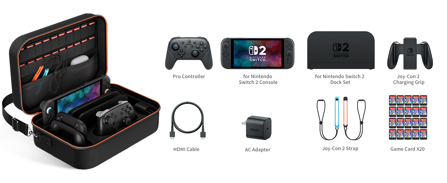 case for switch 2