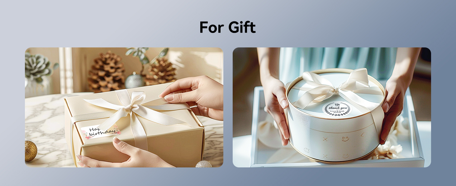 niimbot b1 label maker for gift label