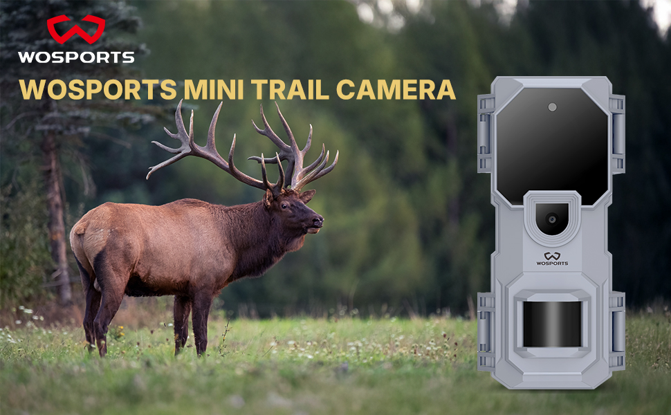 trail camera