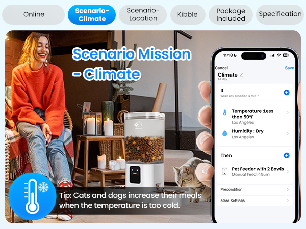 automatic cat feeders 2 cat