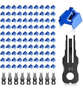 NataLink 100 Pcs RJ45 Port Lock with 10 Key, Locking RJ45 Port/Dust Blocker, RJ45 Dust Cover Cap ...
