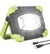 Lepro Portable LED Work Light, 20W, Rechargeable Outdoor Flood Light, Power Bank for Hiking, Work...