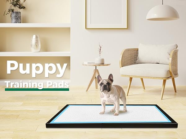 puppy potty pee pads xl