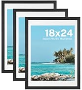 HOUSE DAY Poster Frames 18 x 24 MDF Wood and Polished Plexiglass 18x24 Frame for Horizontal or Ve...