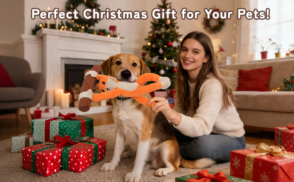dog toy