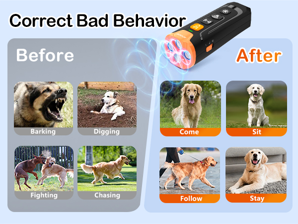 dog bark control devices