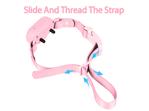 dog training collar