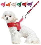 BEAUTYZOO Dog Harness for Small Dogs, No Pull Dog Harness and Leash Set, Soft Escape Proof Puppy ...