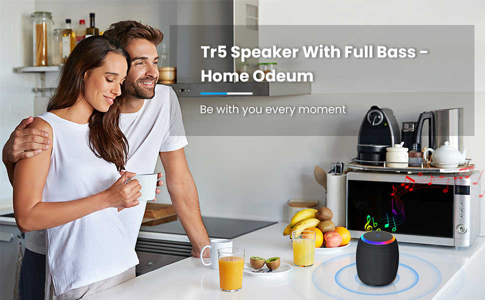 Portable Bluetooth Speaker