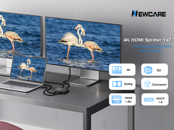 HDMI Splitter 