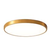 Gold ceiling light