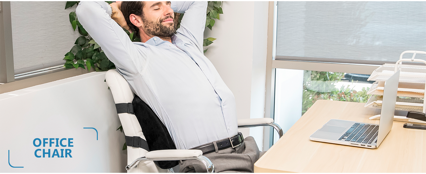 lumbar support back pillow