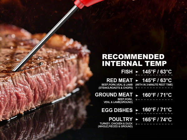 Meat Thermometer Digital