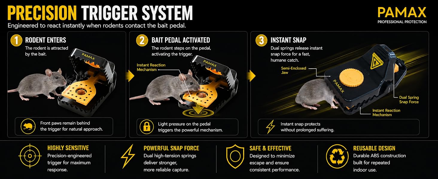 Mouse Trap Humane &amp;amp; Powerful Mouse Traps