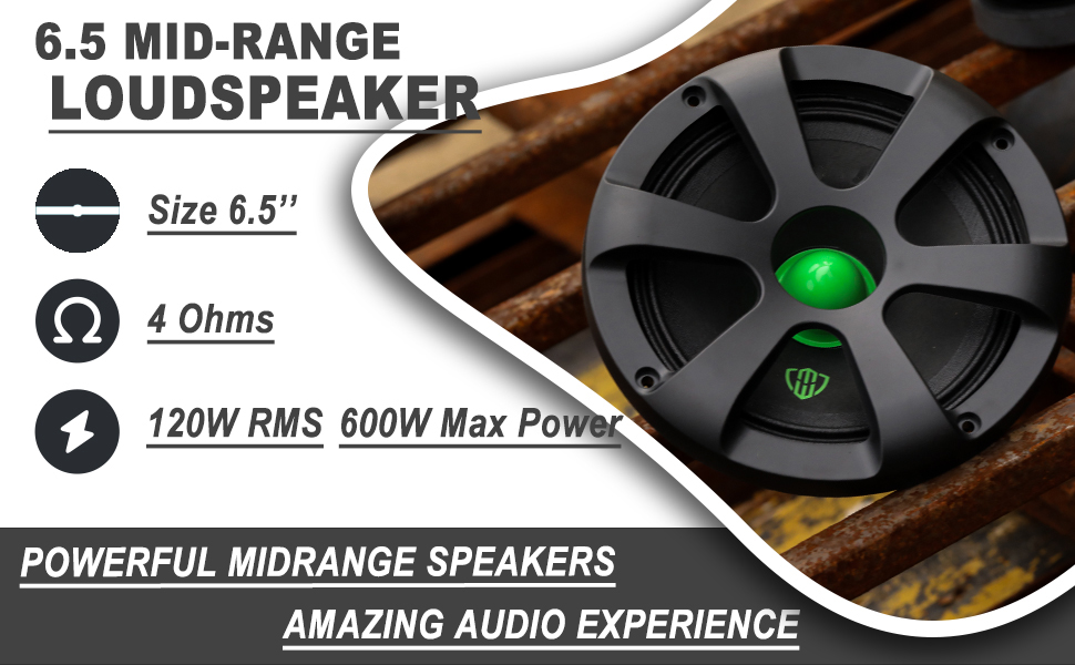 loudspeaker 6.5