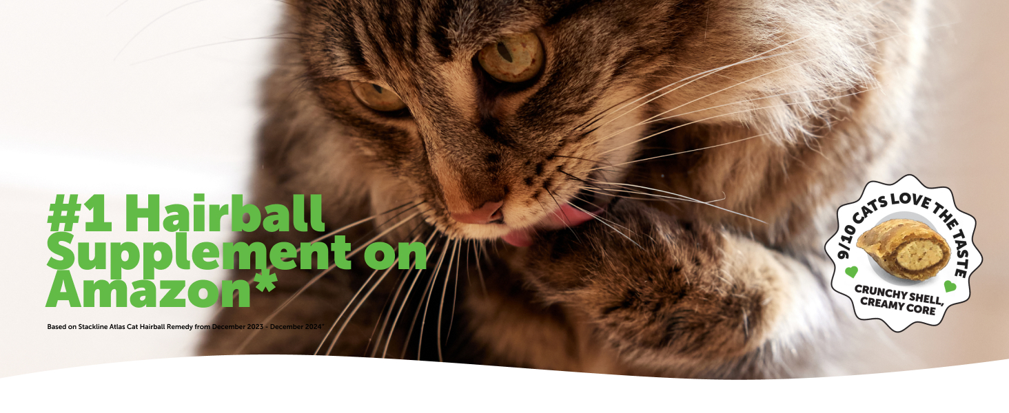 cat hairball supplement