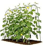 Tegarbed Cucumber Trellis for Climbing Plants Outdoors, U-Shape Garden Trellis for Raised Bed wit...
