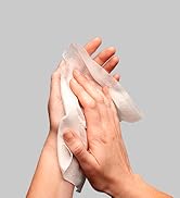 Sani-Hands Hand Sanitizer Wipes 100 Packets Per Box