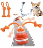 Henyopet Interactive Dog Ball, Interactive Dog Toys, Moving Dog Ball with Touch Activated for Sma...
