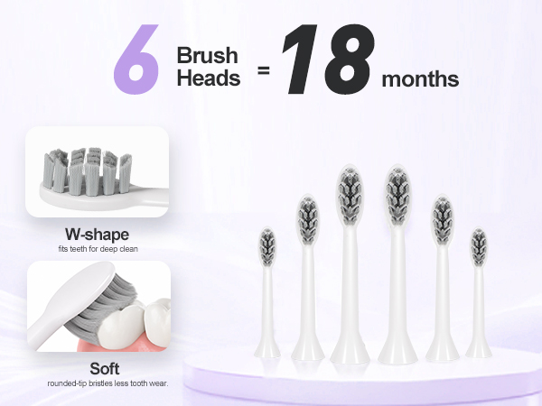 6 brush heads electric toothbrush