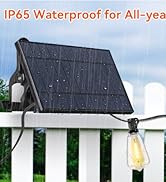 IP65 Waterproof