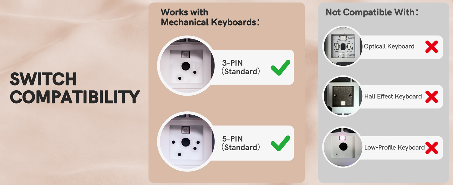 Switch Compatibility