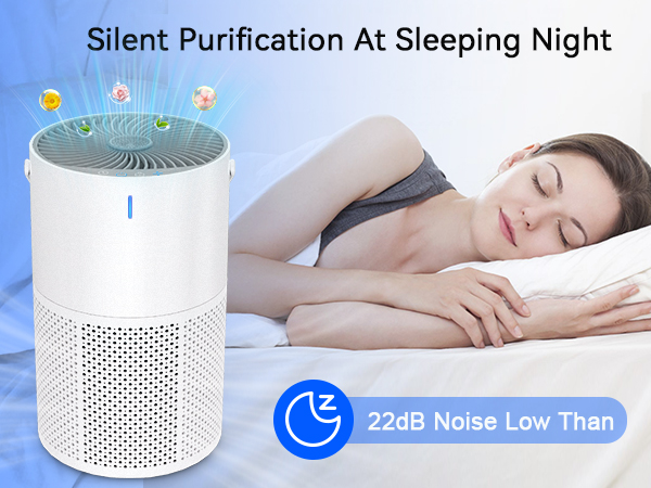 large room air cleaner