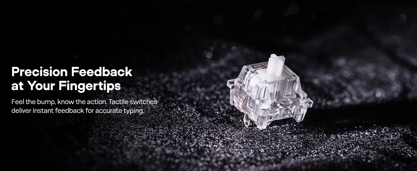 EPOMAKER LEOBOG Icesoul Tactile Mechanical Switch Set