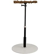 ASHATA Play Stand, Bird Perch, Portable Detachable Play Stand for Indoor Outdoor Traveling Birds ...