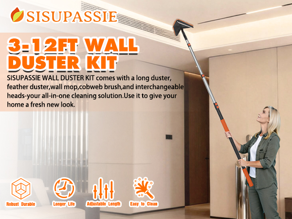 Wall Mop