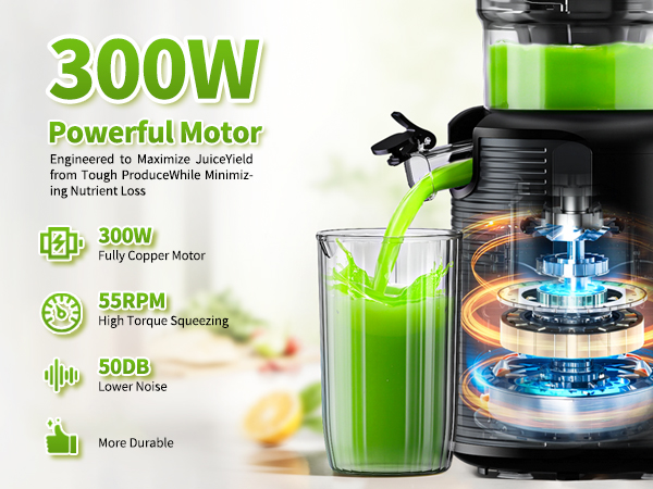 juicer cold press masticating juicer machines