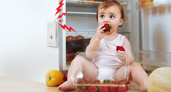 110DB Loud Freezer Door Open Beep