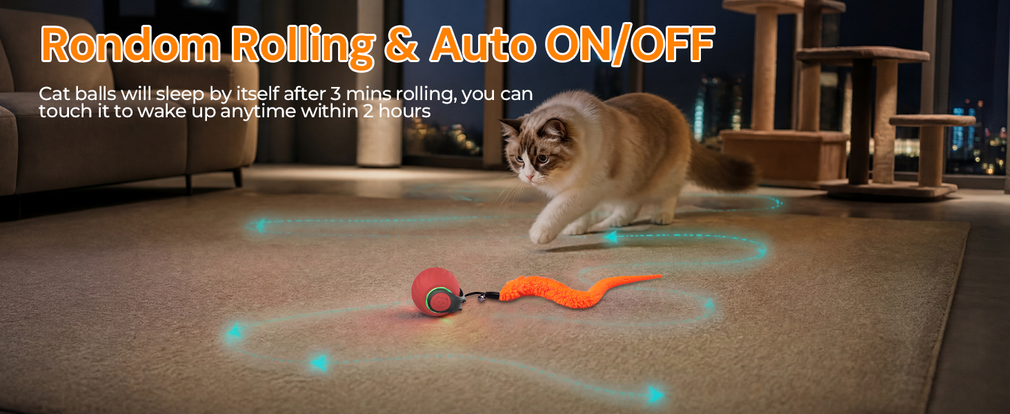 automatic cat ball