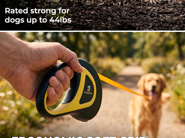 Dog Leash