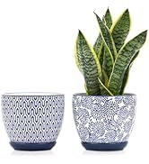 Selamica Ceramica Plant Pots, 6.5 Inch Flower Pots Set of 2 with Drainage Holes &amp; Saucer, Planter...