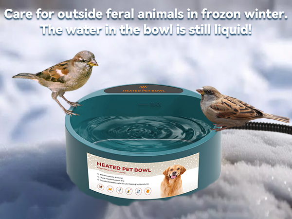 Birds Bath Bowl